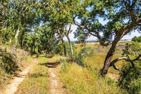 Villa i Odemira, Beja, Odemira - € 1.500.000 | Ref: Qt-902 - foto 15
