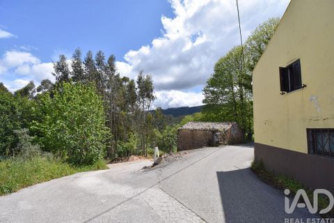 Stadthaus in Miranda do Corvo, Coimbra, Miranda do Corvo - € 90.000 | Ref: 142718 - Foto 4