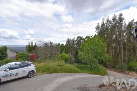 Stadthaus in Miranda do Corvo, Coimbra, Miranda do Corvo - € 90.000 | Ref: 142718 - Foto 22