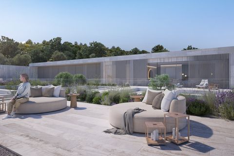 Villa i Sotogrande, Cadiz, Sotogrande - € 12.500.000 | Ref: PANR-15711 - foto 6