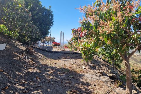 Landejendom i Velez Malaga, Malaga, Velez Malaga - € 310.000 | Ref: AX1386 - foto 26