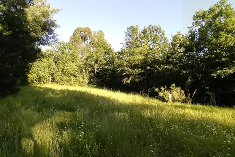 Terra a Penalva do Castelo, Viseu, Penalva do Castelo - € 105.000 | Ref: Q000007 - foto 3