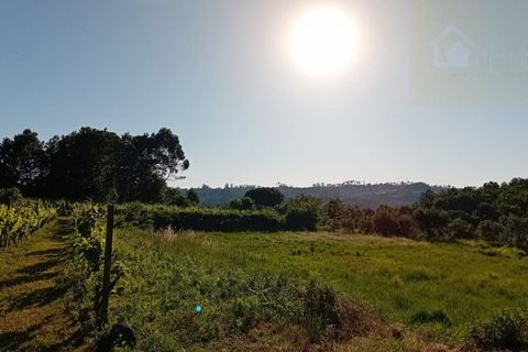 Terra a Penalva do Castelo, Viseu, Penalva do Castelo - € 105.000 | Ref: Q000007 - foto 4