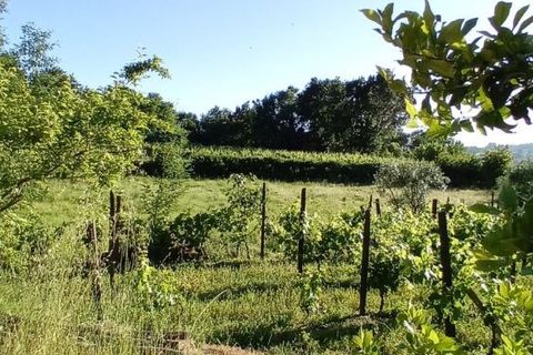 Terra a Penalva do Castelo, Viseu, Penalva do Castelo - € 105.000 | Ref: Q000007 - foto 15