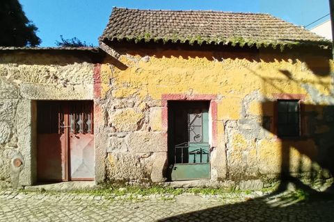 Villa i Mangualde, Viseu, Mangualde - € 18.500 | Ref: Q11 - foto 2