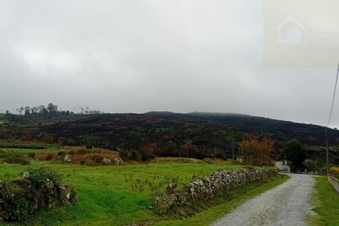 Helårsgrund i Mangualde, Viseu, Mangualde - € 36.000 | Ref: Q14 - foto 2