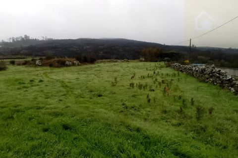 Helårsgrund i Mangualde, Viseu, Mangualde - € 36.000 | Ref: Q14 - foto 4