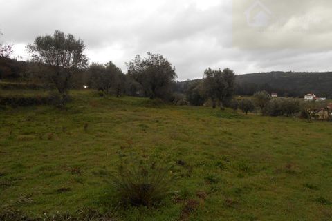 Helårsgrund i Mangualde, Viseu, Mangualde - € 38.000 | Ref: Q17 - foto 3