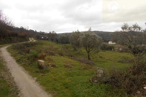 Helårsgrund i Mangualde, Viseu, Mangualde - € 38.000 | Ref: Q17 - foto 4