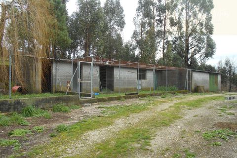 Helårsgrund i Mangualde, Viseu, Mangualde - € 22.000 | Ref: Q19 - foto 2