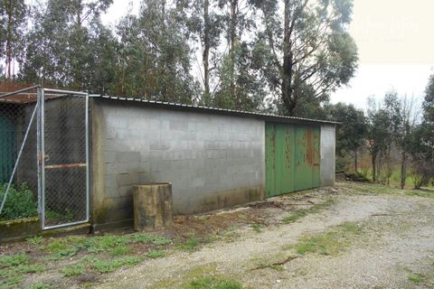 Helårsgrund i Mangualde, Viseu, Mangualde - € 22.000 | Ref: Q19 - foto 3