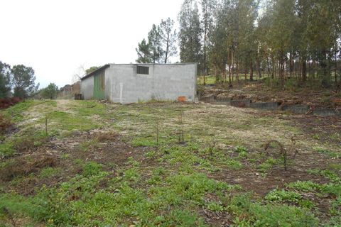 Helårsgrund i Mangualde, Viseu, Mangualde - € 22.000 | Ref: Q19 - foto 4
