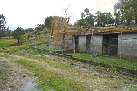 Helårsgrund i Mangualde, Viseu, Mangualde - € 22.000 | Ref: Q19 - foto 5