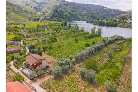 Helårsgrund i Lamego, Viseu, Lamego - € 800.000 | Ref: LUX/00646 - foto 1