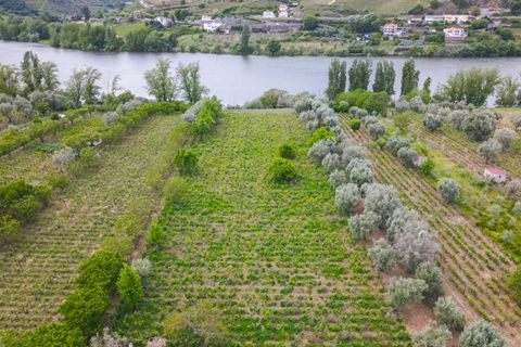 Helårsgrund i Lamego, Viseu, Lamego - € 800.000 | Ref: LUX/00646 - foto 2