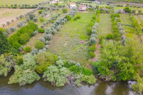 Helårsgrund i Lamego, Viseu, Lamego - € 800.000 | Ref: LUX/00646 - foto 3