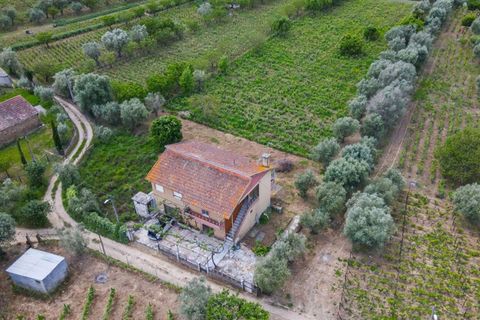 Helårsgrund i Lamego, Viseu, Lamego - € 800.000 | Ref: LUX/00646 - foto 4