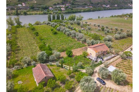 Helårsgrund i Lamego, Viseu, Lamego - € 800.000 | Ref: LUX/00646 - foto 5