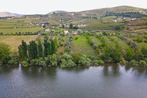 Helårsgrund i Lamego, Viseu, Lamego - € 800.000 | Ref: LUX/00646 - foto 6