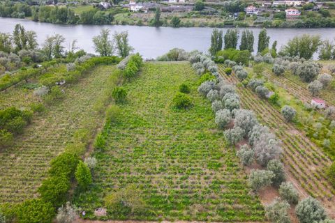Helårsgrund i Lamego, Viseu, Lamego - € 800.000 | Ref: LUX/00646 - foto 7
