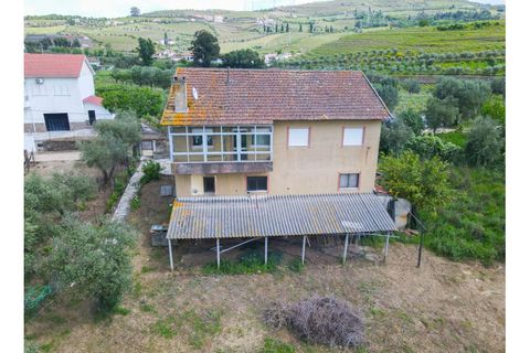 Helårsgrund i Lamego, Viseu, Lamego - € 800.000 | Ref: LUX/00646 - foto 9
