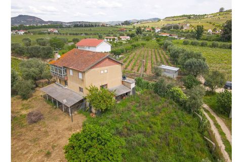 Helårsgrund i Lamego, Viseu, Lamego - € 800.000 | Ref: LUX/00646 - foto 10