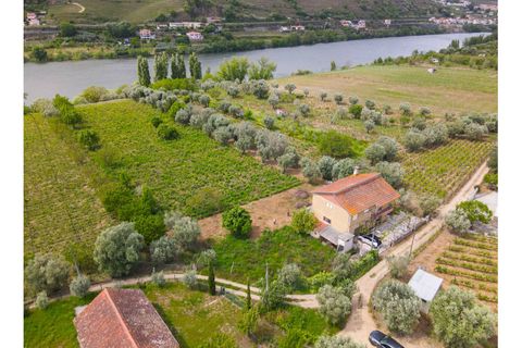 Helårsgrund i Lamego, Viseu, Lamego - € 800.000 | Ref: LUX/00646 - foto 11