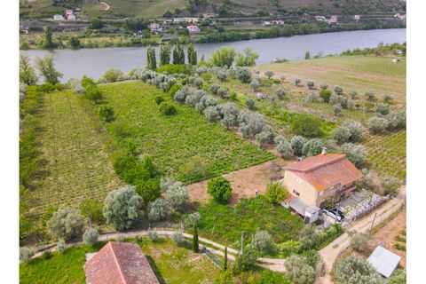 Helårsgrund i Lamego, Viseu, Lamego - € 800.000 | Ref: LUX/00646 - foto 12