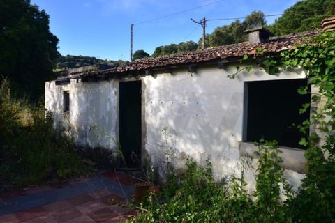 Farm i Quinta do Anjo, Setubal, Quinta do Anjo - € 250.000 | Ref: KWPT-016188 - foto 7