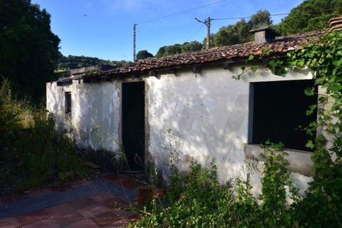 Farm i Quinta do Anjo, Setubal, Quinta do Anjo - € 250.000 | Ref: KWPT-016188 - foto 8
