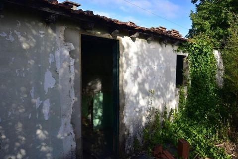 Farm i Quinta do Anjo, Setubal, Quinta do Anjo - € 250.000 | Ref: KWPT-016188 - foto 9