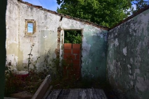 Farm i Quinta do Anjo, Setubal, Quinta do Anjo - € 250.000 | Ref: KWPT-016188 - foto 12