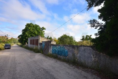 Farm i Quinta do Anjo, Setubal, Quinta do Anjo - € 250.000 | Ref: KWPT-016188 - foto 13