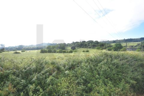 Farm i Quinta do Anjo, Setubal, Quinta do Anjo - € 250.000 | Ref: KWPT-016188 - foto 15