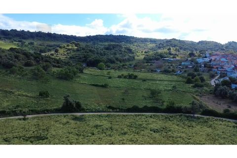 Farm i Quinta do Anjo, Setubal, Quinta do Anjo - € 250.000 | Ref: KWPT-016188 - foto 3