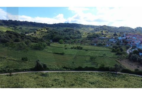 Farm i Quinta do Anjo, Setubal, Quinta do Anjo - € 250.000 | Ref: KWPT-016188 - foto 4