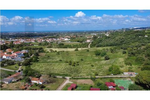 Farm i Quinta do Anjo, Setubal, Quinta do Anjo - € 250.000 | Ref: KWPT-016188 - foto 5