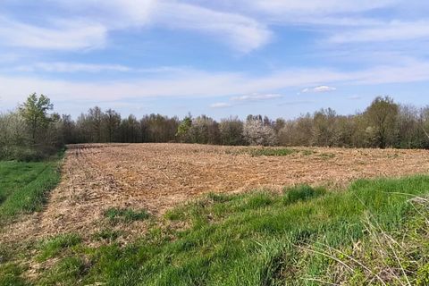 Villa a Cellarengo, Asti, Cellarengo - € 145.000 | Ref: 85958364 - foto 5