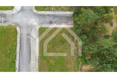 Helårsgrund i Coimbra, Coimbra, Coimbra - € 115.000 | Ref: 2589 - foto 15
