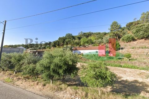 Terra a Chamusca, Santarem, Chamusca - € 60.580 | Ref: 145.25 - foto 8