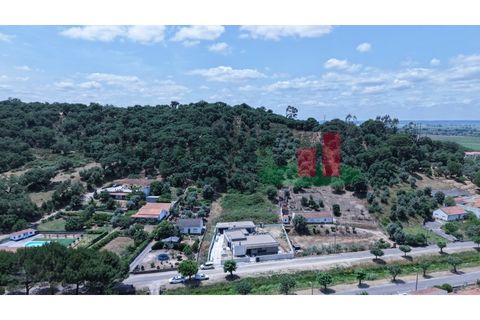 Terra a Chamusca, Santarem, Chamusca - € 60.580 | Ref: 145.25 - foto 3