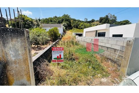 Terra a Chamusca, Santarem, Chamusca - € 60.580 | Ref: 145.25 - foto 5