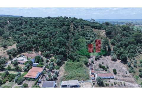 Terra a Chamusca, Santarem, Chamusca - € 60.580 | Ref: 145.25 - foto 2