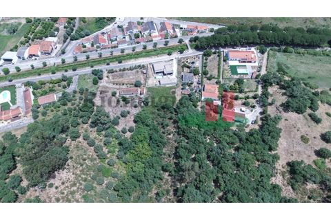 Terra a Chamusca, Santarem, Chamusca - € 60.580 | Ref: 145.25 - foto 9
