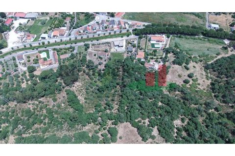 Terra a Chamusca, Santarem, Chamusca - € 60.580 | Ref: 145.25 - foto 10