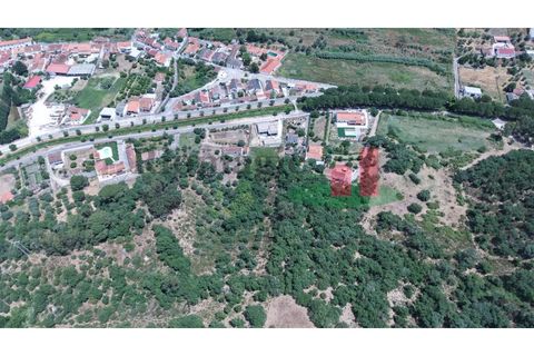 Terra a Chamusca, Santarem, Chamusca - € 60.580 | Ref: 145.25 - foto 11