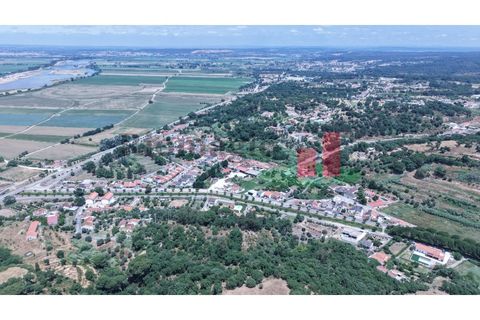 Terra a Chamusca, Santarem, Chamusca - € 60.580 | Ref: 145.25 - foto 12