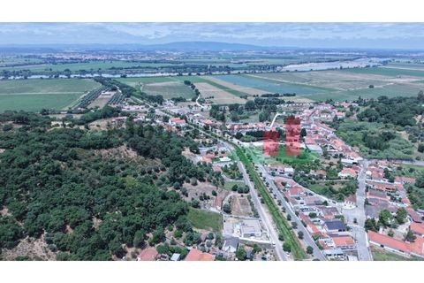 Terra a Chamusca, Santarem, Chamusca - € 60.580 | Ref: 145.25 - foto 13