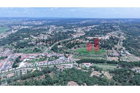 Terra a Chamusca, Santarem, Chamusca - € 60.580 | Ref: 145.25 - foto 14