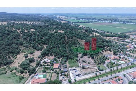 Terra a Chamusca, Santarem, Chamusca - € 60.580 | Ref: 145.25 - foto 15